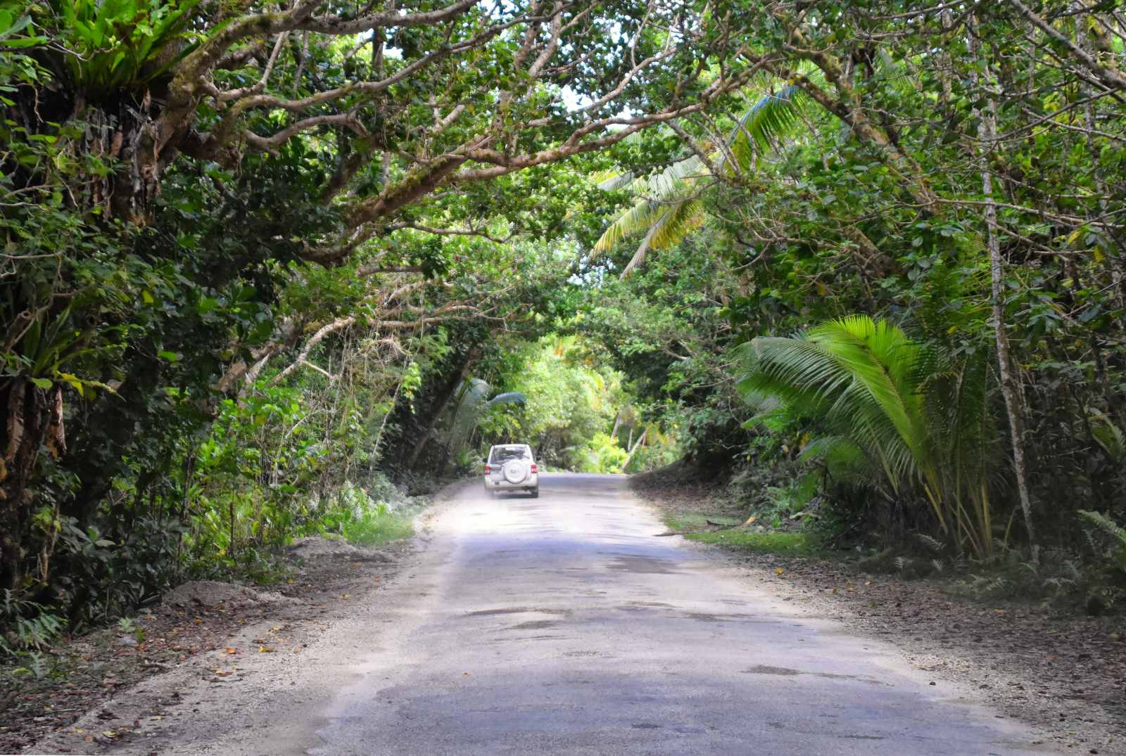 The Best Car Rentals on Vanua Levu