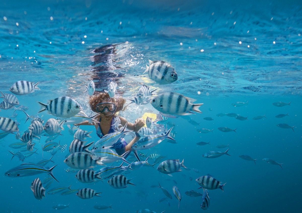 The Ultimate Guide to Snorkelling in Fiji